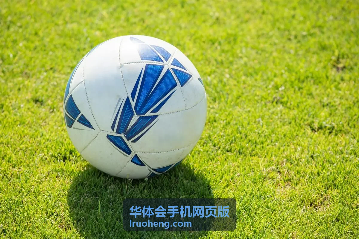 华体会手机网页版功能模块入口展示